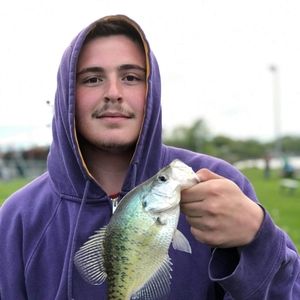 Meet your Posher, Gary